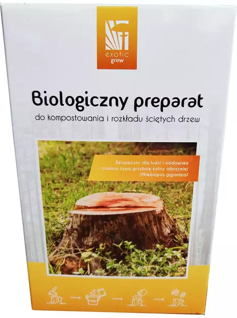 Pilz zum Zerlegen von Stämmen nach einem gefällten Baum und Kompostieren von Abfällen im Garten