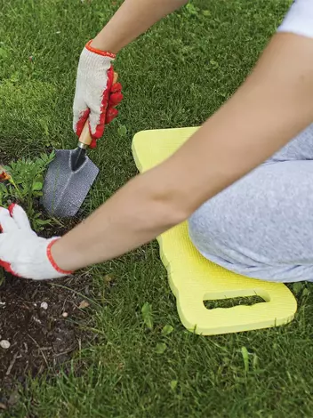 Agrimpex Agro Clip für Pflanzenbefestigung