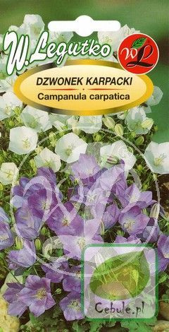 Nasiona Dzwonek Karpacki Mix - Campanula