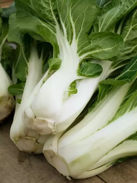 Samen Asiasalat Pak Choi