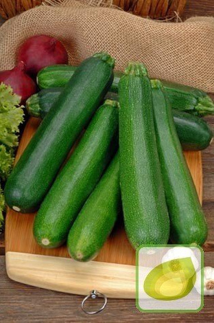 Zucchini Samen 'Zuboda' (Cucurbita pepo)