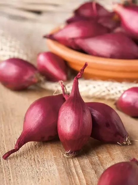 Rote Kleinzwiebel (Allium Cepa) Red Baron 250g