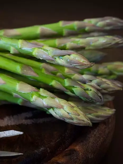 Spargel (Asparagus) Thielim 1 St.