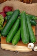 Zucchini Samen 'Zuboda' (Cucurbita pepo)