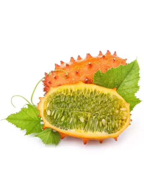 Samen Kiwano | Kiwi+Banane Geschmack - (Cucumis Sativus)