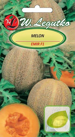 Nasiona Melon Emir - Cucumis Melo Emir