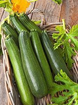 Zucchini Astra Polka Samen